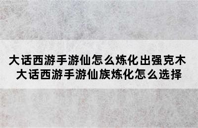 大话西游手游仙怎么炼化出强克木 大话西游手游仙族炼化怎么选择